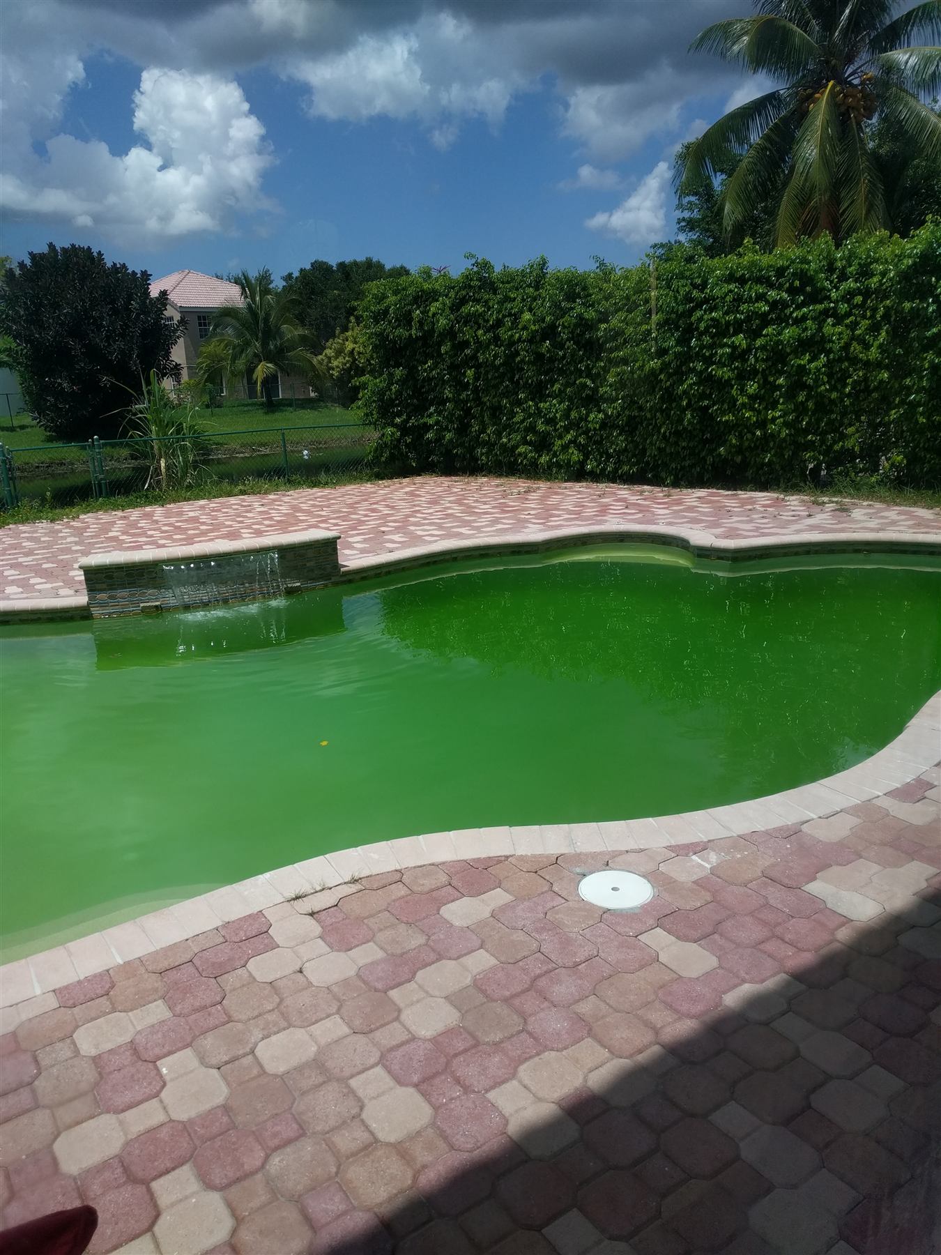 Green, algae-filled backyard pool before a Premier Pool Care rescue in Coral Springs, FL