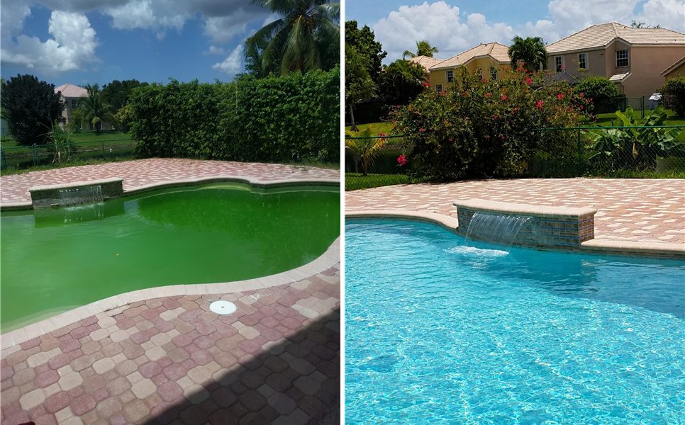 Before and after a Premier Pool Care green-to-clean rescue in Coral Springs, FL: algae-green pool transformed to crystal clear